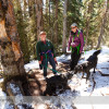 Wilcox Pass Hike