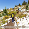 Wilcox Pass Hike