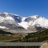 Wilcox Pass Hike