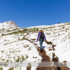 Wilcox Pass Hike