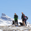 Wilcox Pass Hike