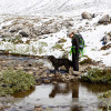 Wilcox Pass Hike