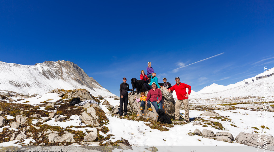 Wilcox Pass Hike