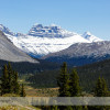Wilcox Pass Hike