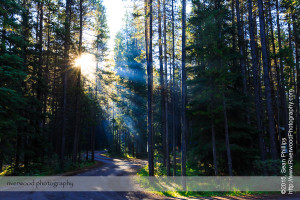 Sunrise at Waterfowl Lakes Campground