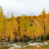 Larch Valley in Banff National Park