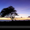Maui 2015