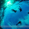Scuba Diving on Molokini with Scuba Shack