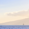 Maui 2015