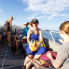 Snorkelling Maui with Seafire Charters