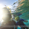 Snorkelling Maui with Seafire Charters
