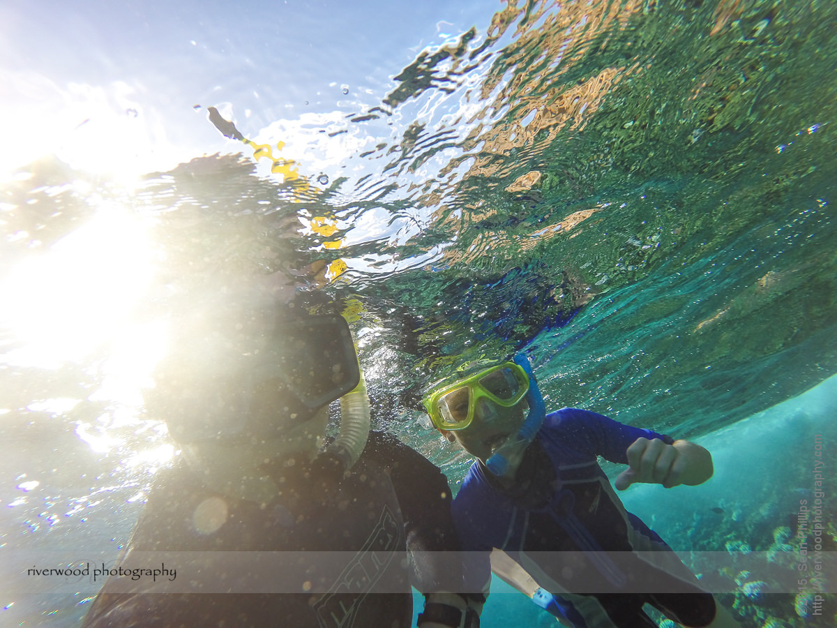 Snorkelling Maui with Seafire Charters