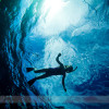 Snorkelling Maui with Seafire Charters