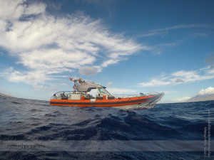 Snorkelling Maui with Seafire Charters