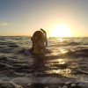 Maui 2015