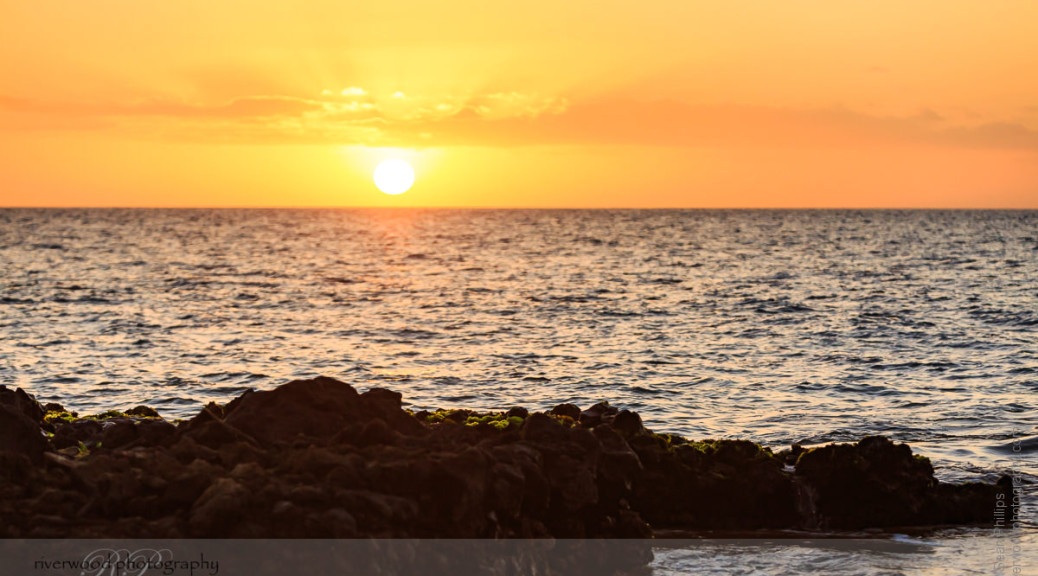 Maui 2015