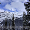 Skiing at Lake Louise