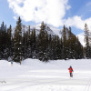 Cross Country Skiing at Lake Louise