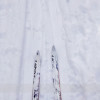 Cross Country Skiing at Lake Louise