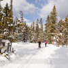 Cross Country Skiing at Lake Louise