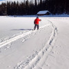 Cross Country Skiing at Lake Louise