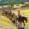 Horseback Riding at Anchor D Ranch