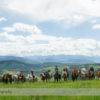 Horseback Riding at Anchor D Ranch