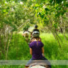 Horseback Riding at Anchor D Ranch