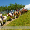 Horseback Riding at Anchor D Ranch