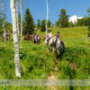 Horseback Riding at Anchor D Ranch