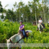Horseback Riding at Anchor D Ranch