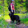 Hiking to Rummel Lake in Kananaskis