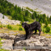 Hiking to Rummel Lake in Kananaskis
