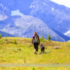 Hiking to Rummel Lake in Kananaskis